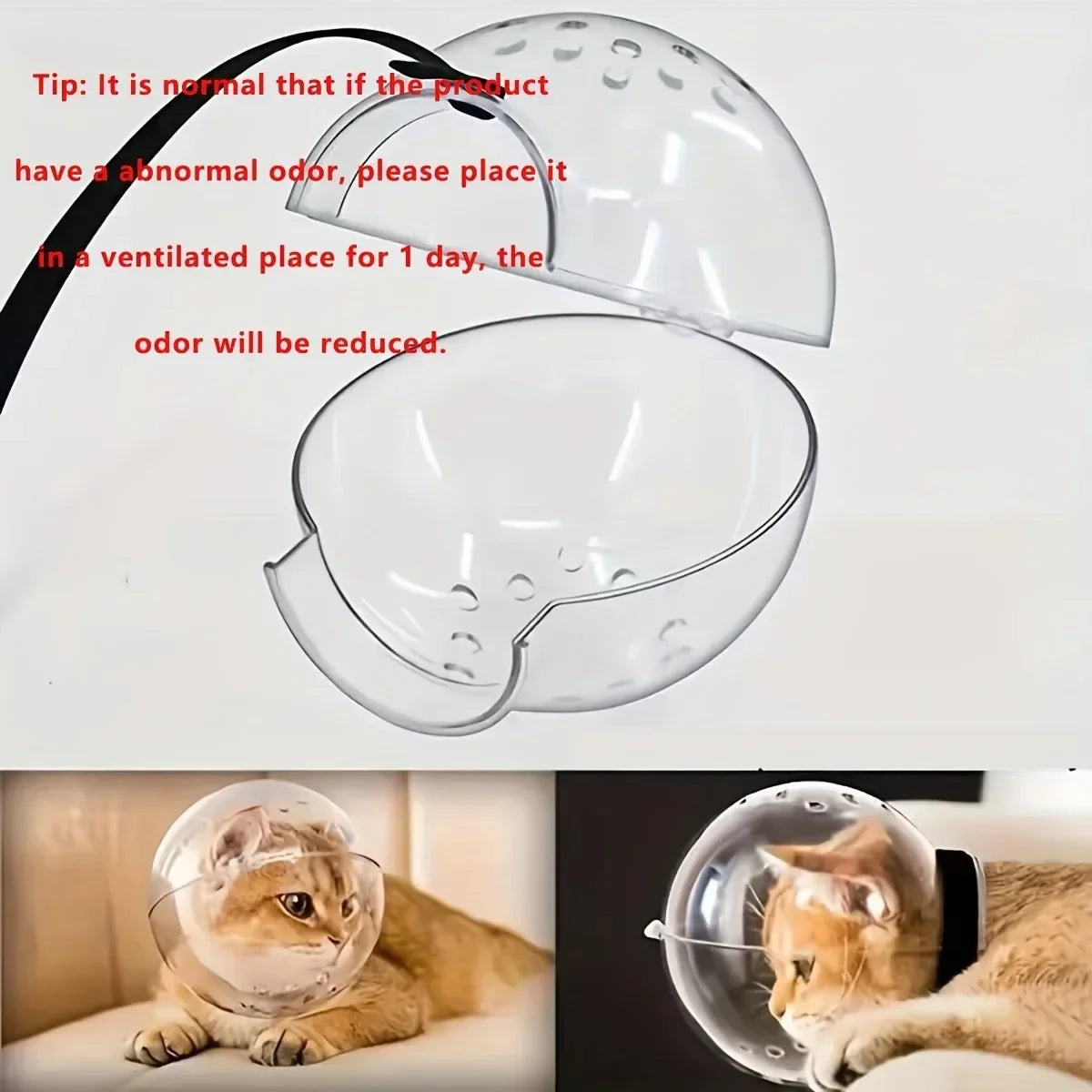 S5f0a8f9f15284a7caf3e272b566627765