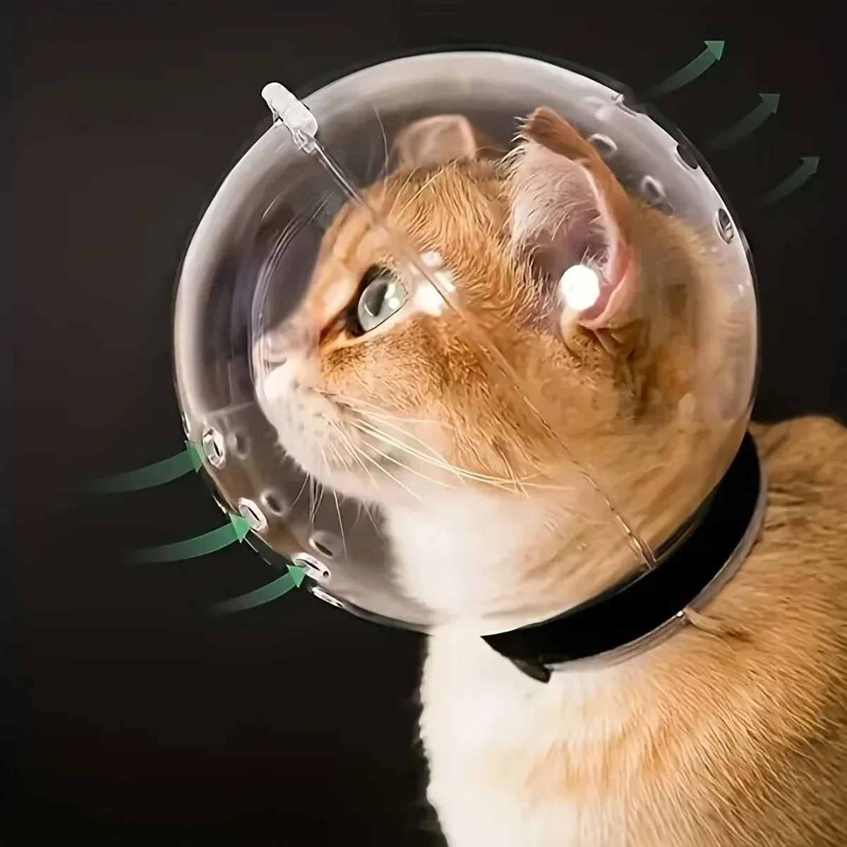Sa4534b3d041342f3b0fccdae983eee3aa